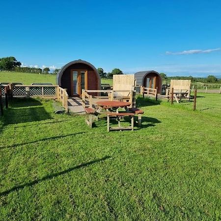 Unit 4 - Skiddaw View Camping Pod Carlisle  Bagian luar foto